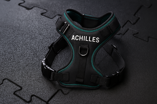 Achilles Performance No-Pull Dog Harness